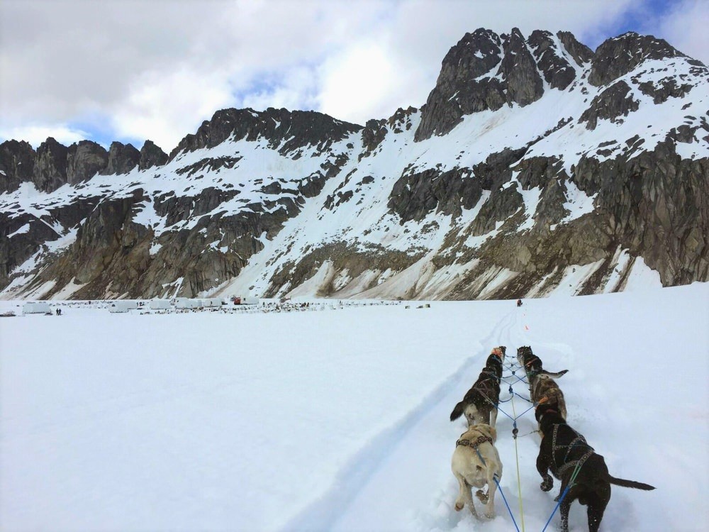 TEMSCO Helicopters | Mendenhall Glacier Dog Sledding | ALASKA.ORG